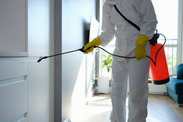 Best Kitchen Mold Remediation in Palos Heights, IL