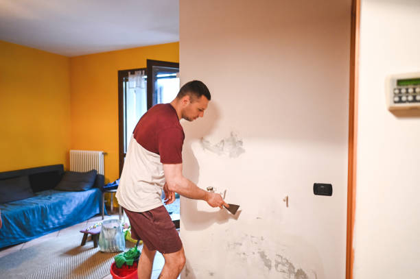 Best Emergency Mold Remediation in Palos Heights, IL